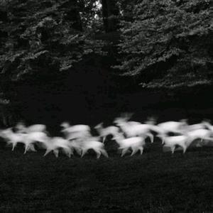 69视频免费观看
