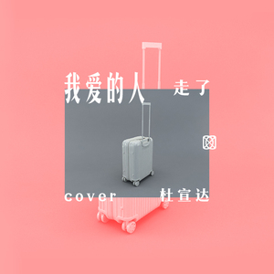 69视频免费观看
